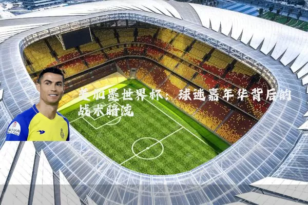 美加墨世界杯:球迷嘉年华背后的战术暗流